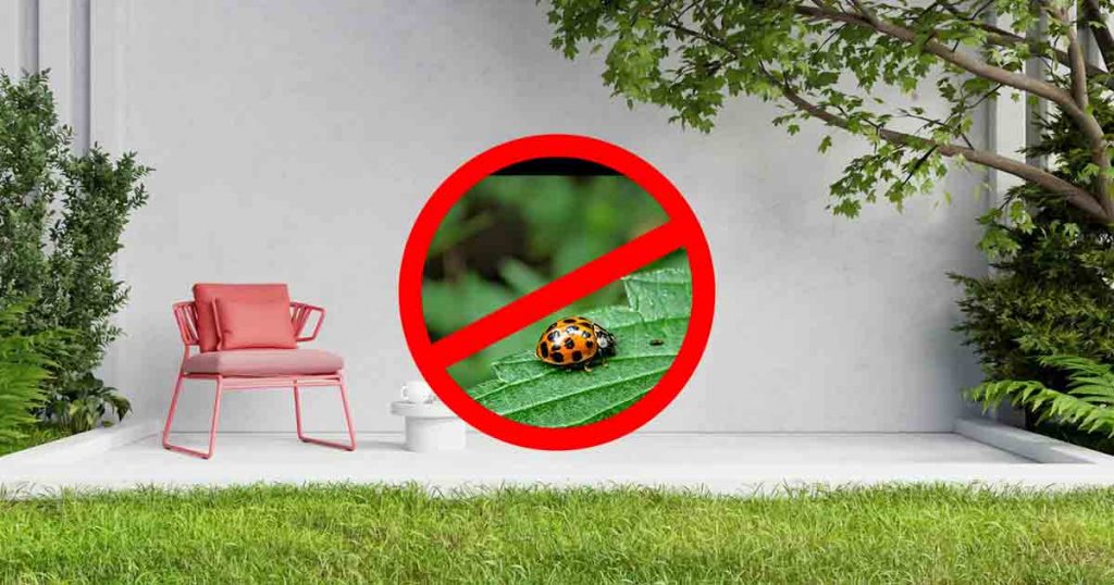 How to Keep Your Outdoor Living Spaces Bug-Free